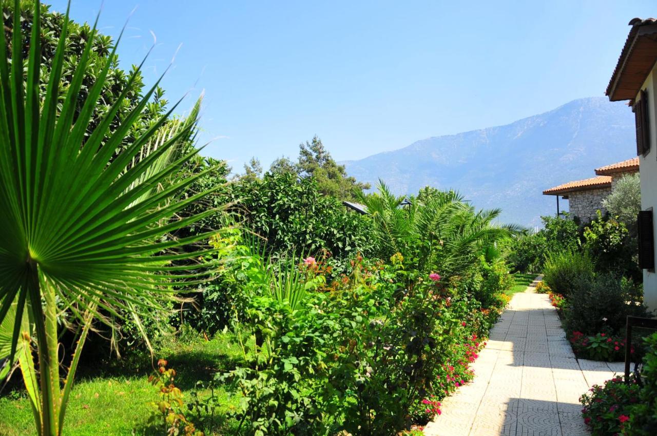 Telmessos Neva Hotel Oludeniz Bagian luar foto
